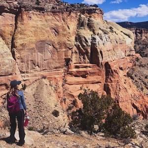 Meet your Posher, Jasmine